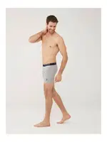 3 Lü Uzun Paçalı U.S. Polo Assn. Boxer 80454 Gri-Lacivert-Kırmızı görsel 6