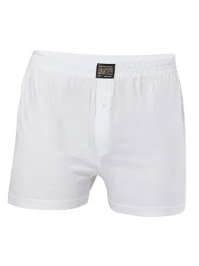 Anıt Anıt Erkek Boxer 1146