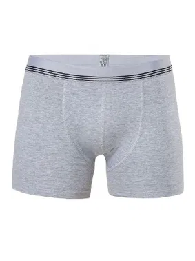 Anıt Anıt Çizgili Licralı Erkek Boxer 1252