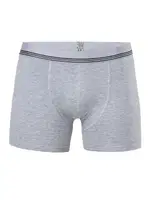 Anıt Çizgili Licralı Erkek Boxer 1252 Antrasit