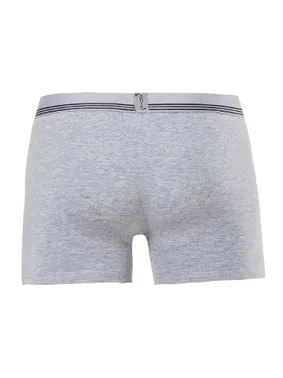 Anıt Anıt Çizgili Licralı Erkek Boxer 1252 - Alternatif Görünüm