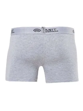 Anıt Anıt Licralı Şeritli Erkek Boxer 1120 - Alternatif Görünüm