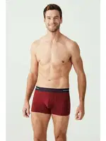 Baskılı Kısa Paça 3lü Boxer U.S. Polo Assn. 80328 Görsel görsel 5