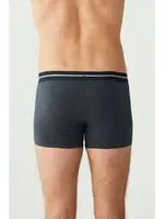 Bel Lastiği Baskılı 3lü Boxer U.S. Polo Assn. 80306 Görsel farklı açı