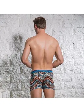 Goldenbay Desenli Erkek Boxer Goldenbay 1625 - Alternatif Görünüm