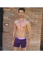 Kemer Desenli Erkek Boxer Goldenbay 1642 Mor