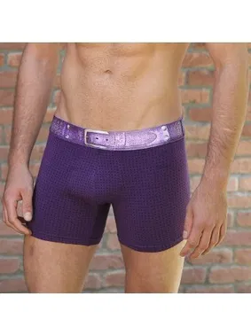 Goldenbay Kemer Desenli Erkek Boxer Goldenbay 1642 - Alternatif Görünüm