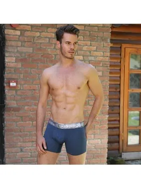 Goldenbay Kemer Desenli Erkek Boxer Goldenbay 1643