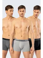 Cacharek Erkek 3'lü Boxer Cacharel 1337/Siyah-Gri-Antrasit Görsel