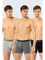 Cacharel Erkek 3lü Boxer Cacharel 1338 Siyah-Gri-Antrasit Görsel