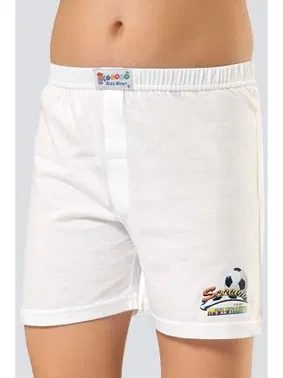 Türen Çocuk Baskılı Boxer (2'li Paket) Türen 423