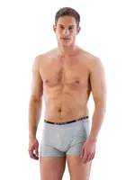 Erkek Boxer Emay 6950 Gri görsel 4