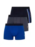 Kısa Paça 3lü Boxer U.S. Polo Assn. 80307 Görsel