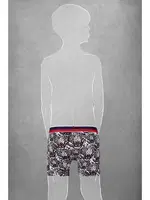 Modal Kaplan Baskılı Normal Paça Renkli Boxer Doreanse 610 Kaplan detay görünüm