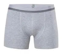 Anıt Çizgili Licralı Erkek Boxer 1252