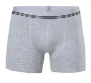 Anıt Çizgili Licralı Erkek Boxer 1252