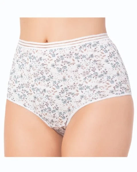 Düz Renkli Yüksek Bel Külot (4lü Paket) 21002-H Öztaş