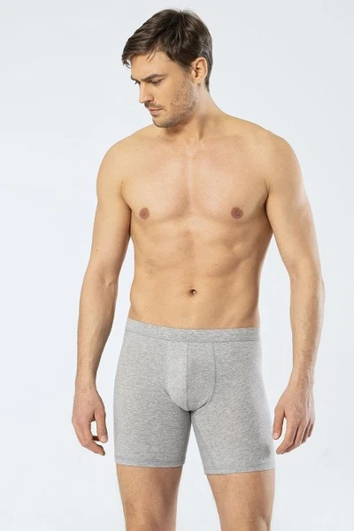 Erkek Likralı Uzun Boxer Bel Bantlı Cacharel 1336/GRİ