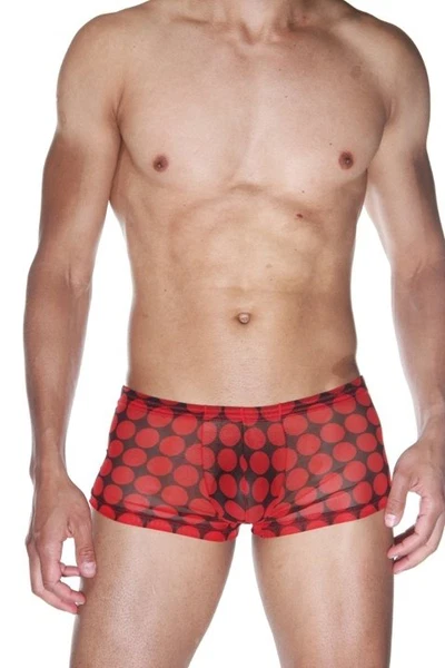 La Blinque Seksi Erkek Tül Boxer 15528