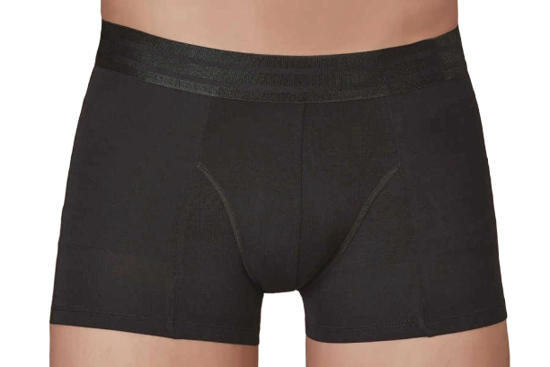 Siyah Erkek Boxer Şort Berrak 4469