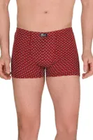 Desenli Erkek Boxer Berrak 4497 Görsel görsel 4
