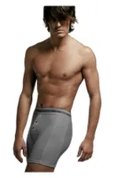 Çift Kaplan Elestanlı Boxer 880 Gri görsel 4
