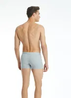 Cotton Erkek Boxer Tender Gri Melanj BlackSpade 9220  Gri detay görünüm