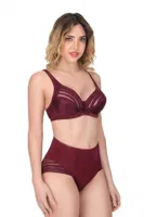 Emay 177 C CUP Toparlayıcı Minimizer Sütyen Külot Takım Bordo