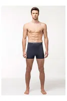 Erkek Boxer Elite Life 900 Füme farklı açı