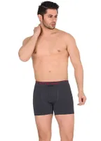 Erkek Boxer Form Time 2009 Gri