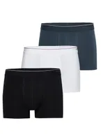 Erkek Boxer Shorty 3lü Paket Tender Cotton Black Spade 9670  Antrasit