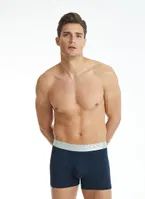 Erkek Modal Elastan Boxer Silver Lacivert BlackSpade 9302  Lacivert görsel 5