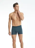 Erkek Pamuklu Antrasit Boxer Aura BlackSpade 9502 Antrasit görsel 4