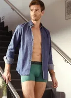 Erkek Pamuk Elastan Boxer Yeşil BlackSpade 9555 Yeşil görsel 5