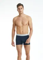 Modal Elastan Erkek Boxer Silver Lacivert BlackSpade 9303  Lacivert görsel 4