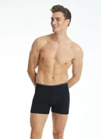 Pamuk Elastan Erkek Boxer Tender Cotton BlackSpade 9233 Siyah görsel 4