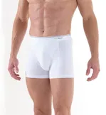 Pamuk Erkek Elastan Boxer Tender Cotton Beyaz BlackSpade 9233  Beyaz görsel 5