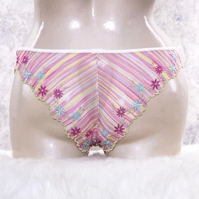 Anıl Slip Külot Çiçek İşlemeli Renkli Anıl 2789 - 10 Adet - Alternatif Görünüm