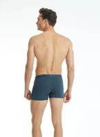 Tender Cotton Erkek Boxer Antrasit BlackSpade 9220  Antrasit görsel 4