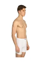 Penye Paçalı Arjantin Boxer Tutku 0110 - 6 Adet Beyaz görsel 4