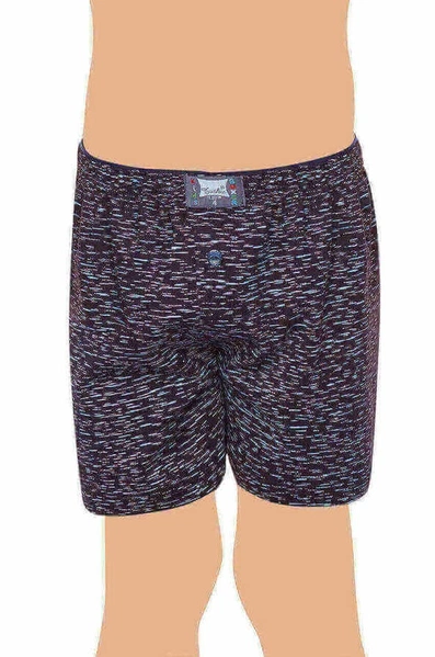 Tutku Desenli Erkek Çocuk Havlu Bel Boxer C0250