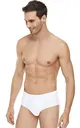 Tutku Elit %100 Pamuk Erkek Penye Kom Slip Külot 1071