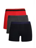 Erkek Penye 3Lü Boxer Akbeniz 40098 Çok Renkli