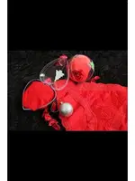 Yılbaşı Özel Kırmızı Kadın Slip Külot Akbeniz 2023 Kırmızı görsel 4