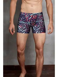 Doreanse Doreanse Erkek Zebra Baskılı Boxer 1872