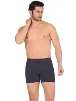 Erkek Boxer Form Time 2009 Gri