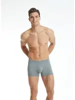Erkek Modal Elastan Boxer Silver BlackSpade9310  Gri