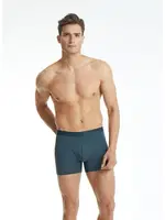 Erkek Pamuklu Antrasit Boxer Aura BlackSpade 9502 Antrasit detay görünüm