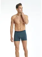 Erkek Pamuklu Antrasit Boxer Aura BlackSpade 9502 Antrasit görsel 4