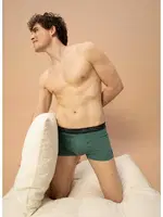 Erkek Pamuk Elastan Boxer Yeşil BlackSpade 9555 Yeşil farklı açı